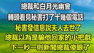 總裁和白月光幽會，轉頭看見秘書打了十幾個電話，秘書發信息說夫人去世了，總裁以為是騙他回家的小把戲，下一秒一則新聞總裁傻眼了