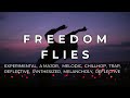 Freedom Flies – Chillhop Trap Anthem 🎶✨ | Reflective & Melodic Vibe