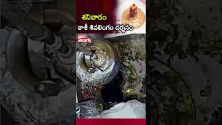 శనివారం కాశీ శివలింగం దర్శనం| kashi vishwanath shivling darshan |Tolivelugu