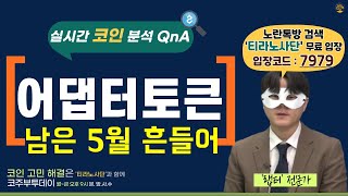 [코주부투데이] 어댑터토큰, 남은 5월 시장 흔들 준비?