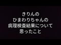 きりんのひまわりちゃんの病理検査結果が発表されました。