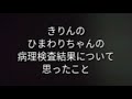 きりんのひまわりちゃんの病理検査結果が発表されました。