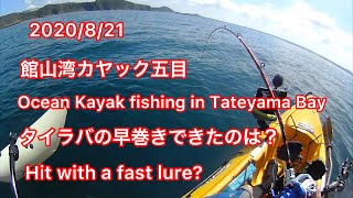 20/8/21館山湾カヤック五目(Ocean Kayak fishing in japan)