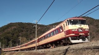 伊豆急線を走るJR185系OM08編成（あまぎ色） 特急踊り子号