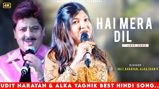 Hai Mera Dil Churake Le Gaya - Udit Narayan | Alka Yagnik | Best Hindi Song