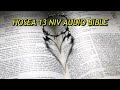 HOSEA 13 NIV AUDIO BIBLE(with text)