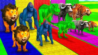 Choose Right Wall With Gorilla Zombie T-Rex Tiger Buffalo Elephant Lion | Wild animals Matching Game