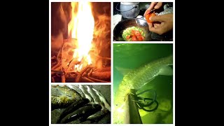 SPEARGUN🥽FISHING🐟🐠🐠 Arunachal local technique🏞🌊 || CATCH-CLEAN-COOK AND EAT🐠🥘😋😋😋 @HARRIER-BIBING