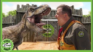 Dino DNA! | T-Rex Ranch Dinosaur Videos