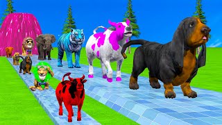 Paint \u0026 Animals Cow,Dachshund,Lion,Tiger,Elephant Fountain Crossing Transformation Animal Cartoon