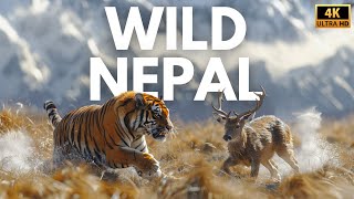 NEPAL - Wild Kingdom of the Himalayas | Full Documentary