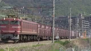 4092レ　EF81-33牽引(2010-03-20)