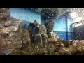 浅虫水族館 餌やり