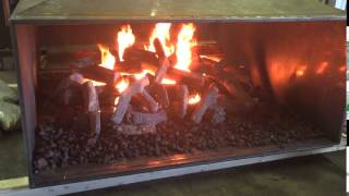 Acucraft Custom Gas See Through Outdoor Fireplace with Dual Burner \u0026 Logset - In-House Testing