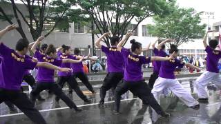 豊川よさこいinおいでん祭2011　　中京大学　晴地舞