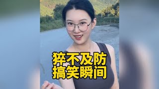 盘点猝不及防的搞笑瞬间，伤害性不大，侮辱性极强