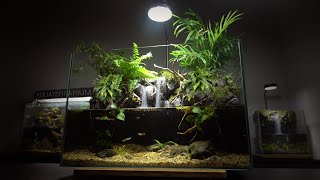 Setup Guppy Fish Aquaterrarium l Use Plastic Kettle to make aquarium l movable plants