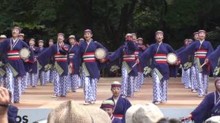 上総組さん＠2010　スーパーよさこい