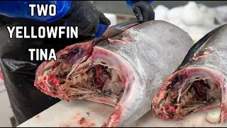 Butchering 2 Whole Yellowfin Tunas! Expert Breakdown \u0026 Techniques 🐟🔪