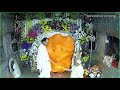 khajrana ganesh mandir live darsha live stream