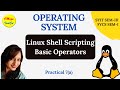 Linux Shell Scripting. Basic Operators.