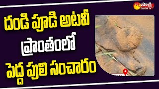కలకలం రేపుతున్న పెద్దపులి సంచారం | Tiger FootPrints Found In West Godavari Dist | Sakshi TV