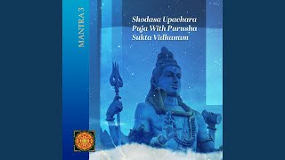 Purusha Sukta Vidhanam 1 (feat. Sri Amritananda)