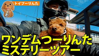 りんたとワンデムツーリング【トイプードル】バイク犬・犬バイク