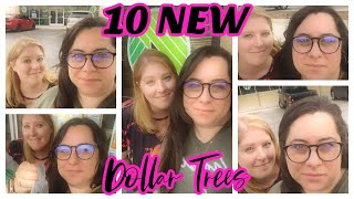 WE shopped 10 NEW Dollar Trees in ONE DAY!