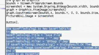 How To Make Screen Capture In Visual Basic 2008