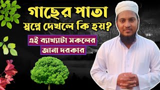 স্বপ্নে গাছের পাতা দেখলে কি হয় | shopne gacher pata dekhle ki hoy | shopner bekkha |