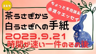 茶うさぎから白うさぎへの手紙 2023「264. 時間が速い一件のその後」