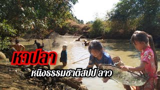 ผ่าปลาหนองธรรมชาติ สปป ลาว//ຜ່າປາໜອງທຳມະຂາດ @บ่าวคําม่วน1980