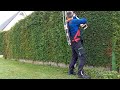 Hecke schneiden-Hecke Schnitt Tuja Trimming Conifer Stihl HLA 56