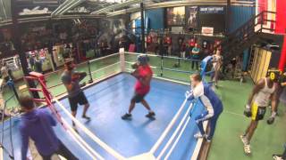 Sparring Boxer Inside