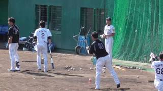 【プロ野球】2016.10.30  阪神　2016秋季キャンプ　野手陣　『トスバッティング①』