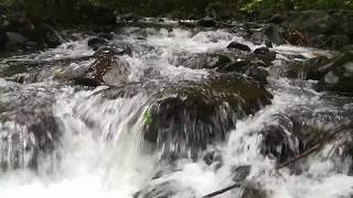 Vettilappara Adventure Waterfall Trekking