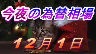 【TAKA FX】今夜のドル、円、ユーロ、ポンド、豪ドルの為替相場の予想をチャートから解説。12月1日