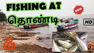 fishing at🐬⛵️⚓⛴️  தொண்டி⚓️⚓️ துறைமுகம் 🚢