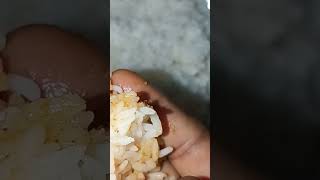 ఎంత టేస్టీ గా ఉందో పచ్చడి 🤤😋..#food #డిన్నర్ #trending videos # వైరల్ #ytshorts