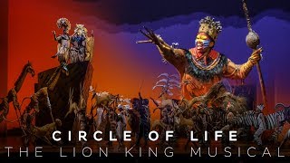 Circle of Life - The Lion King Musical