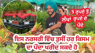 New Janta Nursery ||  ਮਲੇਰਕੋਟਲਾ Malerkotla || ilti lana blogs