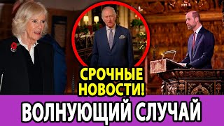 Шок среди королевской семьи! Принц Уильям заменит короля Чарльза на важном мероприятии