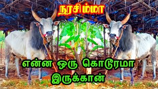 நரசிம்மா பார்க்கவே என்ன ஒரு பயங்கர கொடூரமா இருக்கான் 🔥🔥💥💥