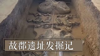 五车十六马！如此规模宏大的车马坑究竟是为谁陪葬？《2018考古进行时》故郡遗址发掘记 | 中华国宝