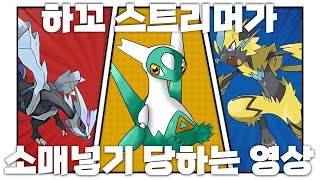 [15편] 제라오라, 내게로 오라...🪄 in Pokemon Sword in Shield