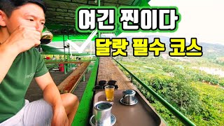 🇻🇳허니로드_달랏 필수 관광코스! 메린커피농장☕️ 여긴 꼭 가야해~💕