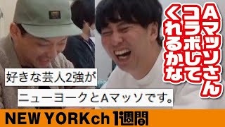 コメントを読んでいこう。質問にも答えます！（2020/12/01～12/05）