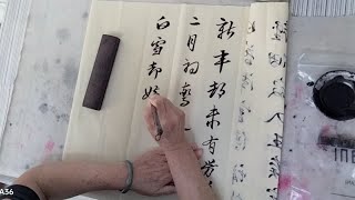 B站练字打卡第289天，日常练习行书古诗一首韩愈【春雪】刘姥姥学习书法五年啦！