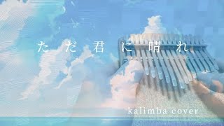 ただ君に晴れ【カリンバ】弾いてみた /ヨルシカ kalimba cover